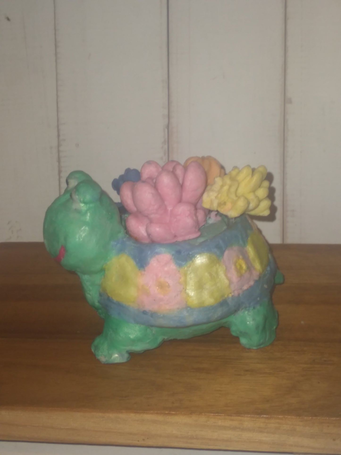 Goat Soap Turtle Shaped Planter with Succulents - Dessert