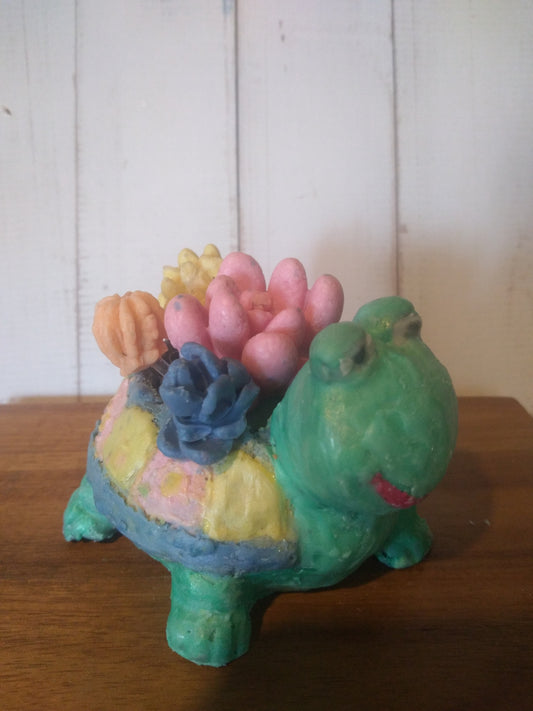 Goat Soap Turtle Shaped  Planter with Succulents - Dessert