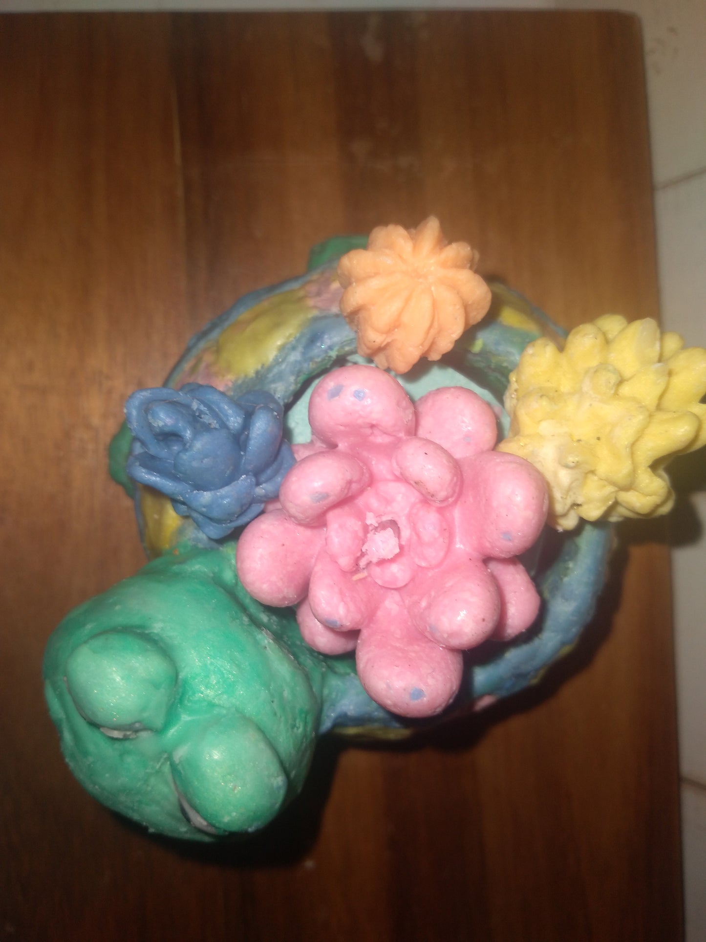 Goat Soap Turtle Shaped  Planter with Succulents - Dessert