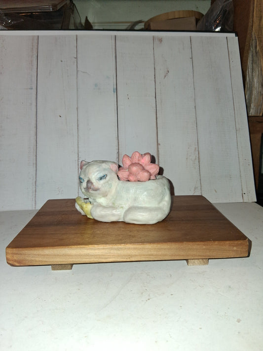Goat Soap Kitty Shaped  Planter with Succulents - Melon