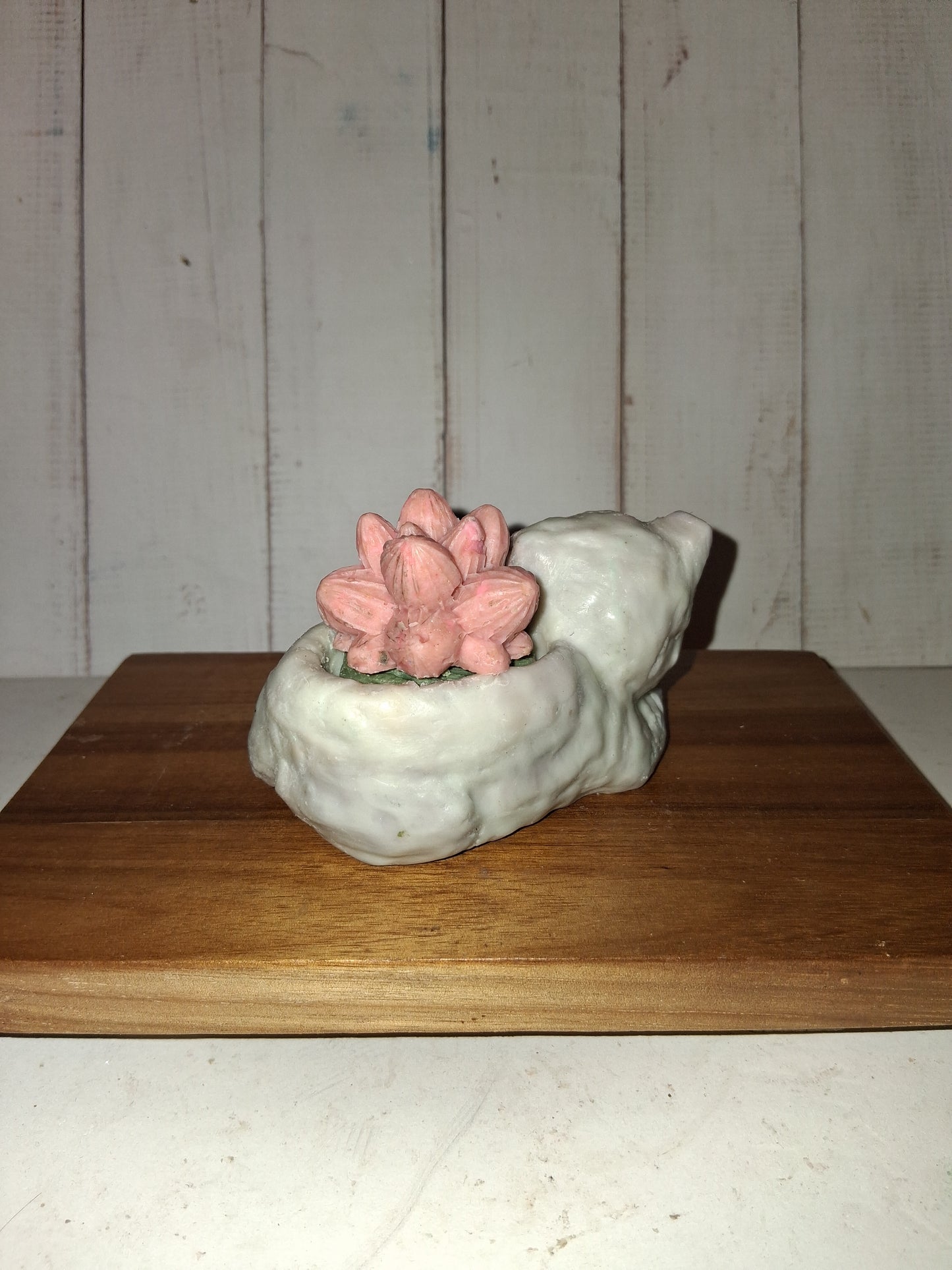 Goat Soap Kitty Shaped  Planter with Succulents - Melon