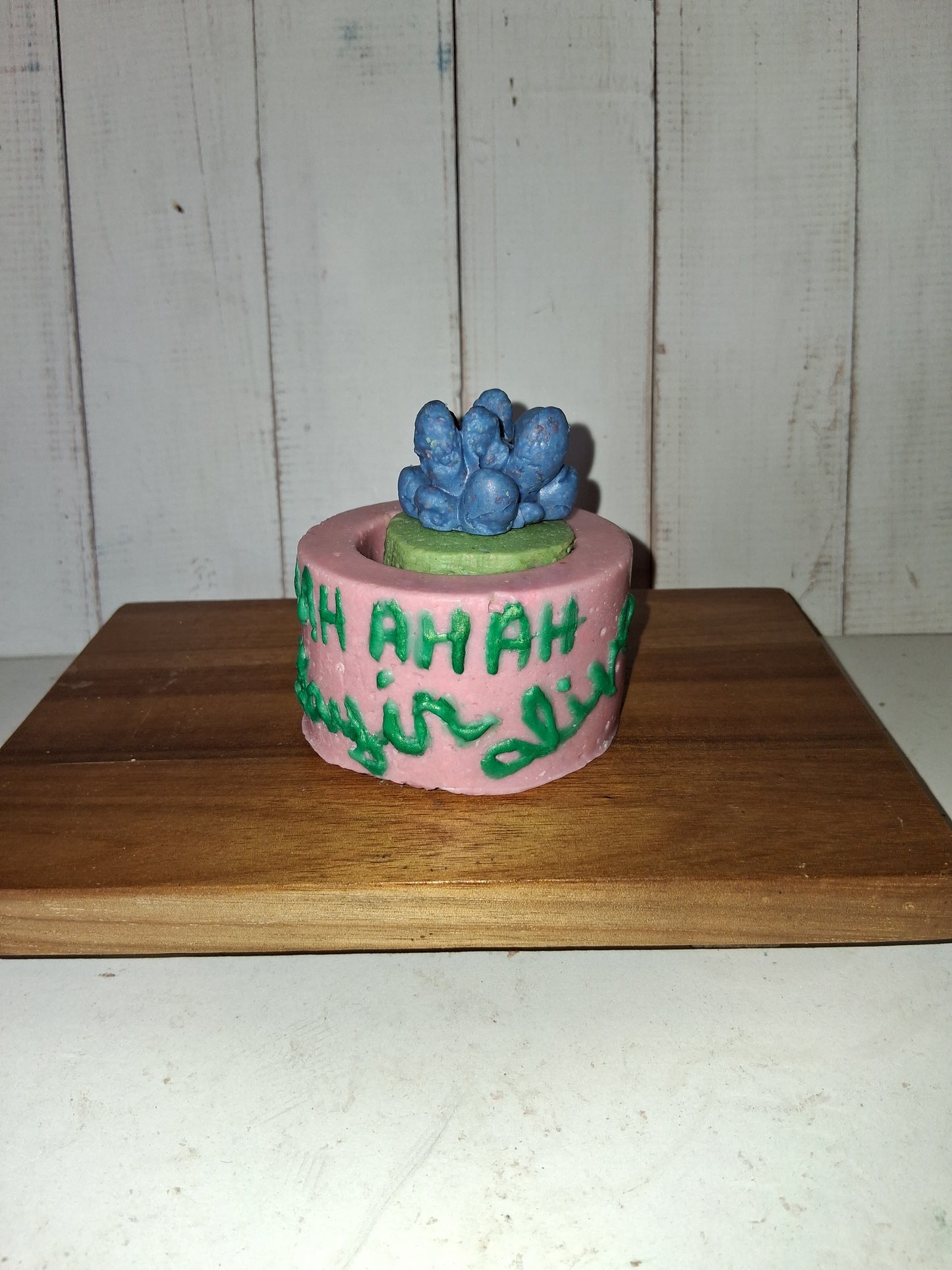 Stayin Alive Goat Soap Planter with Succulents - Melon