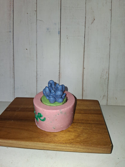 Stayin Alive Goat Soap Planter with Succulents - Melon