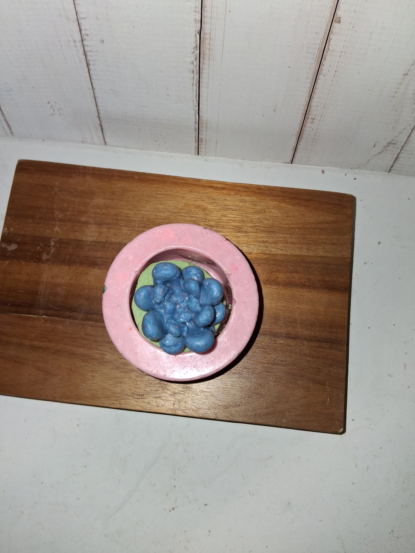 Stayin Alive Goat Soap Planter with Succulents - Melon