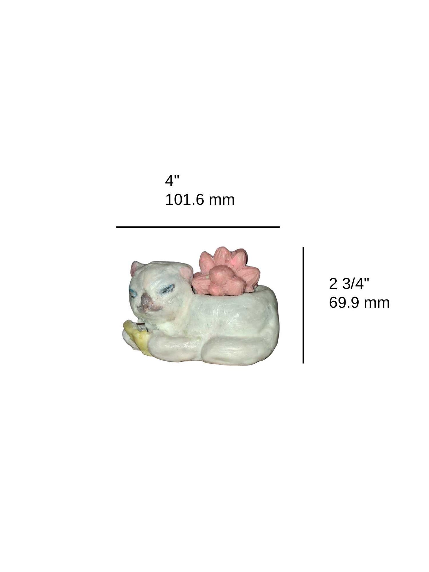 Goat Soap Kitty Shaped  Planter with Succulents - Melon