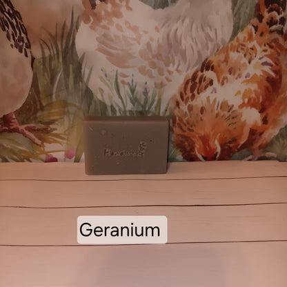 4 pack - Handmade Geranium Goat's Milk Soap