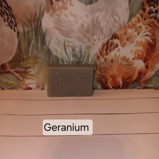 4 pack - Handmade Geranium Goat's Milk Soap