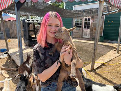 Cuties Cuties Paddock at our petting zoo
