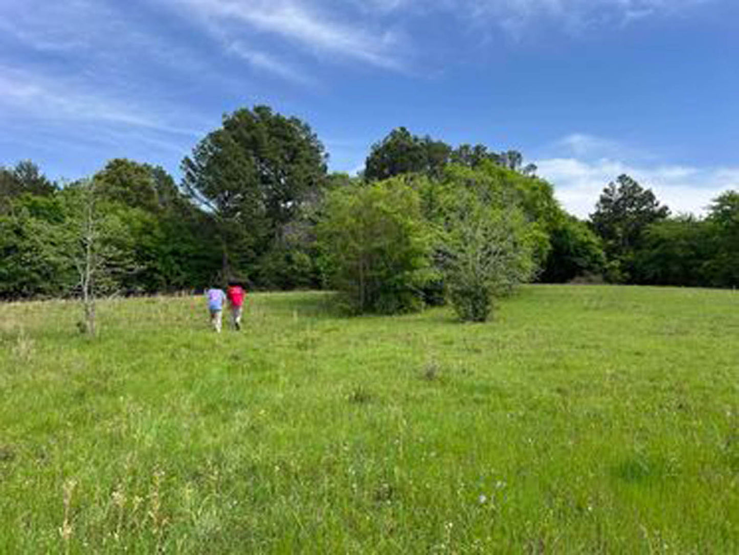 farm visitors exploring the goat pasture