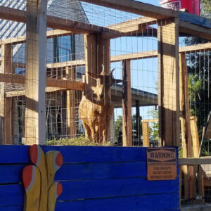Petting Zoo Pass